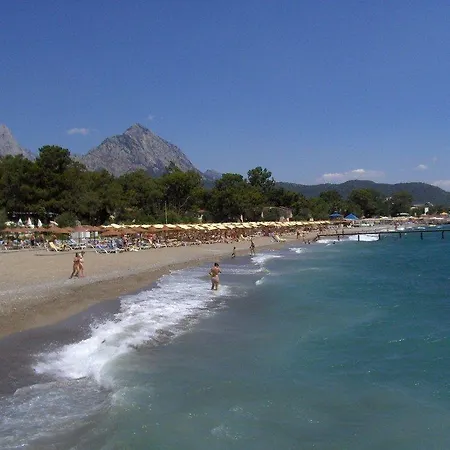 Aybel Kemer